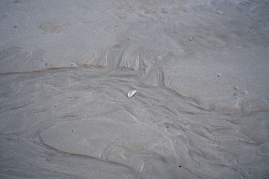 The floating groove of the habitat of Horn-eyed ghost crab or Ocypode on the white sand by the sea	