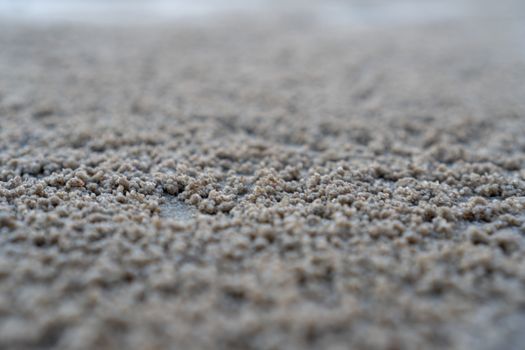 The floating groove of the habitat of Horn-eyed ghost crab or Ocypode on the white sand by the sea	