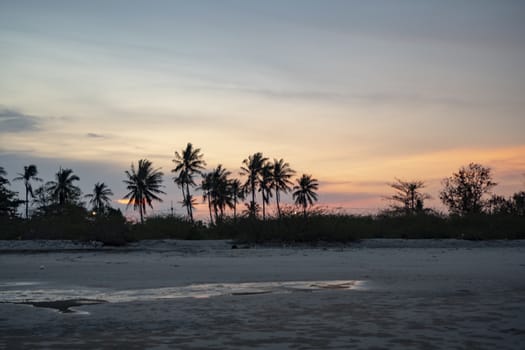 Panorama ,Coconut trees and trees separating the beach