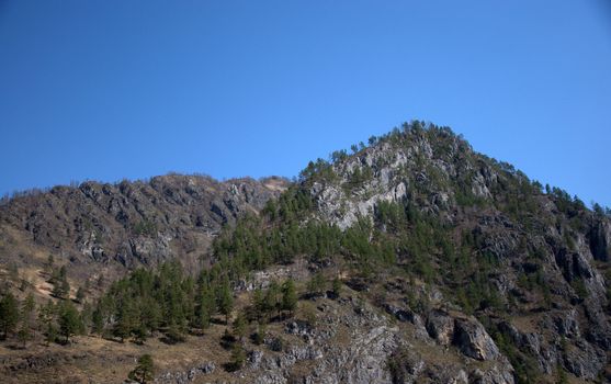 High mountain ranges with sheer cliffs, covered with rare forest. Altai, Siberia, Russia.