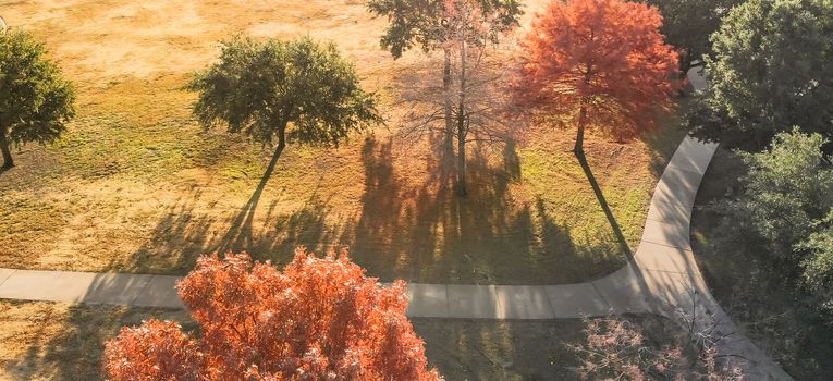 Panorama aerial view bright colorful red fall foliage along local park with concrete pathway near Dallas, Texas. Bright orange and green leaves in early morning light