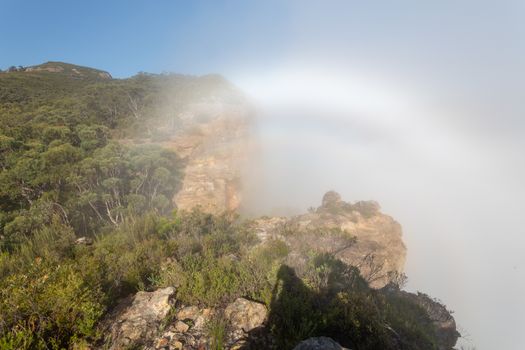 Fobgow in Blue Mountains with the rising mist and fog from the valley.  Phenomena known as a fogbow forms when sun hits tiny water droplets in the fog.  Fogbows are sometimes called ghost rainbows 