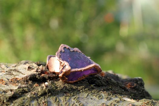 the Hand made copper ring with violet semiprecious stone on the wooden background