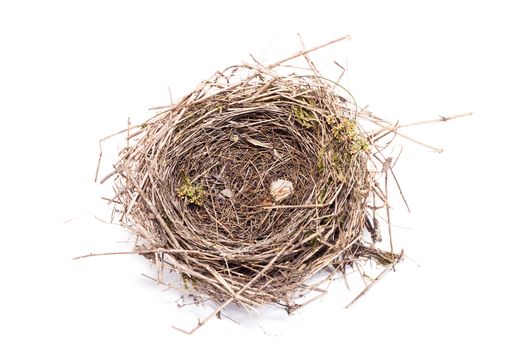 Bird's nest isolated on white background. grass bird house.