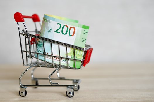 Russian money banknotes in a shopping trolley, online shopping concept