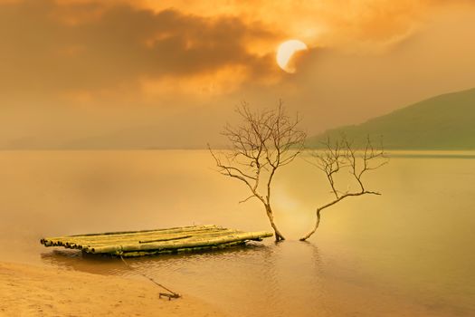 Tree and bamboo raft with the calm sea , beautiful nature