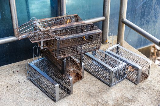 Many mouse trap cage put together both old and new Prepare to use. Selective focus.