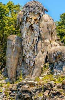 strong old bearded man statue colossus giant public gardens of Demidoff Florence Italy vertical .