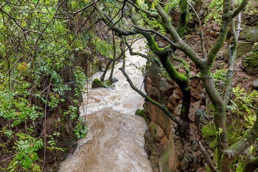 Banias river at north of Israel, flowing over rocks