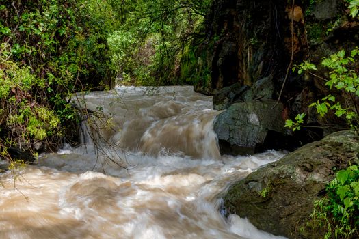 Banias river at north of Israel, flowing over rocks