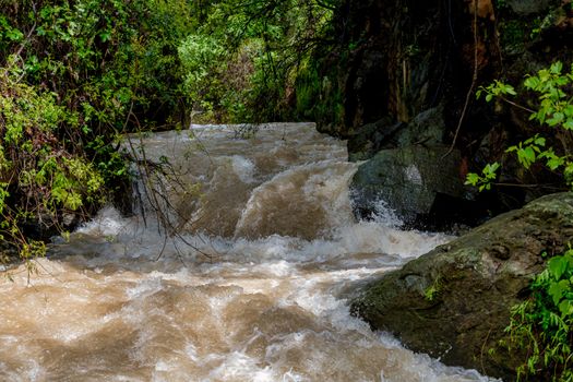 Banias river at north of Israel, flowing over rocks