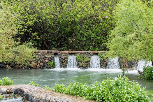 In the background of the Banias Spring is Pan's Cave, where the waterway originated in ancient times
