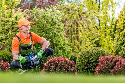 Satisfied Caucasian Gardener with Gasoline Hedge Trimmer in a Garden. Agriculture Theme.