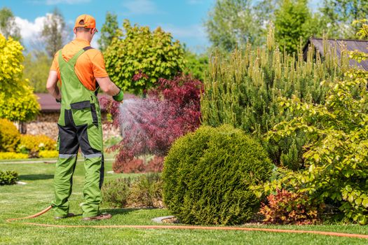 Caucasian Men in His 30s Watering His Backyard Plants Using Garden Hose.