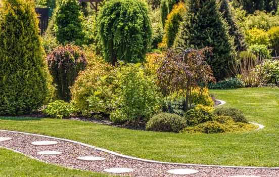 Residential Backyard Garden. Professionally Designed and Planted.