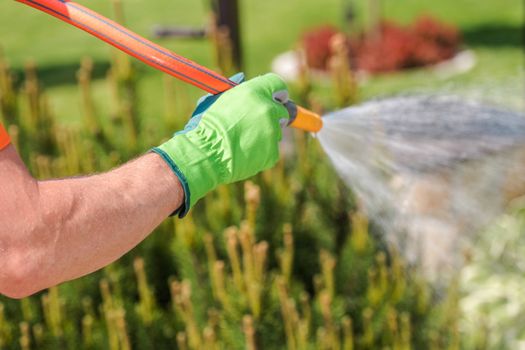 Gardening Theme. Garden Watering Using Hose. Closeup Photo.