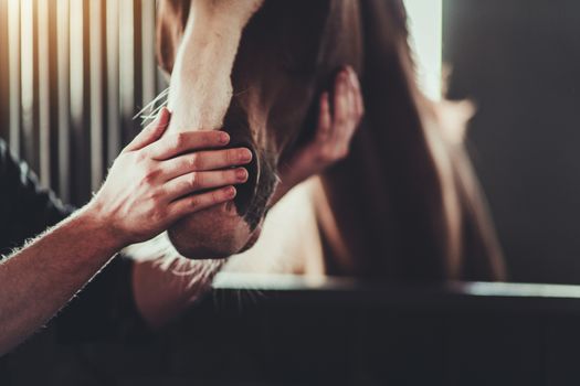 Caucasian Men Spending His Free Time with Horse in a Barn. Horse Nose Caress.