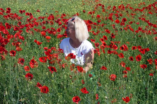 The Romanian Plain at the beginning of the summer.
Carpets poppy cover the wheat fields
A woman stopped to enjoy the image of the poppy in the fields of green wheat