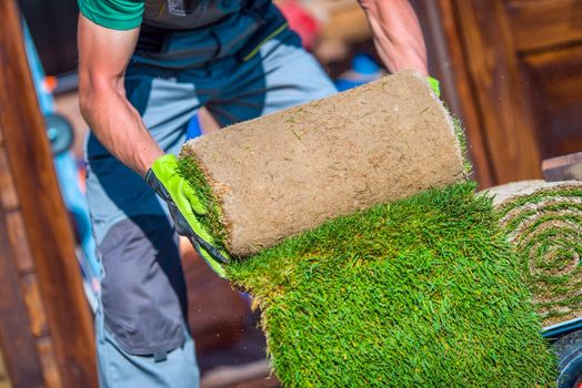 Grass Turfs Garden Work. Caucasian Gardener Preparing Grass For the Installation.