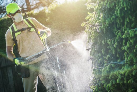 Pesticide Garden Plants Spraying with Professional Equipment by Caucasian Gardener in His 30s