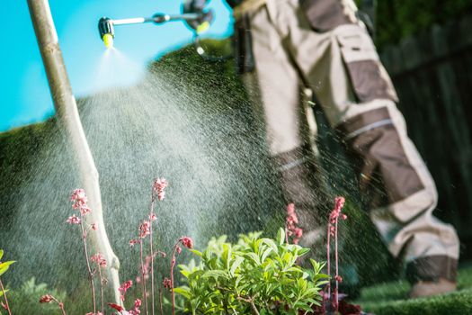 Gardener Fighting Insects in the Garden by Insecticide Whole Backyard Garden.