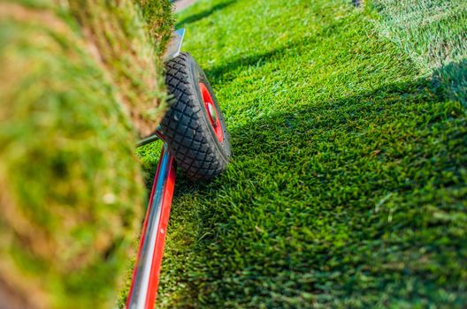 Creating New Grass Field in the Garden. Natural Turf Grass on the Moving Cart Closeup Photo. Landscaping Industry.