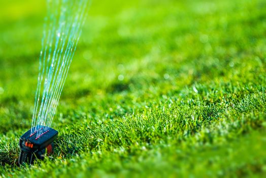 Garden Grass Sprinkler Closeup Photo. Gardening and Landscaping Theme.