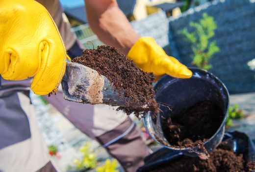 Right Soil For the Plants. Gardener Filling Flower Pot with Proper Soil. Gardening Theme.