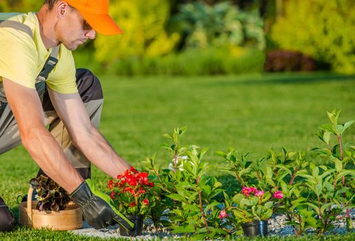 Caucasian Gardener Planting New Flowers in the Backyard Garden. 