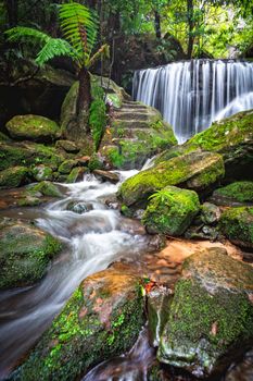 Cascading waterfall over rocks and  through lush rainforest in the Blue Mountains Australia