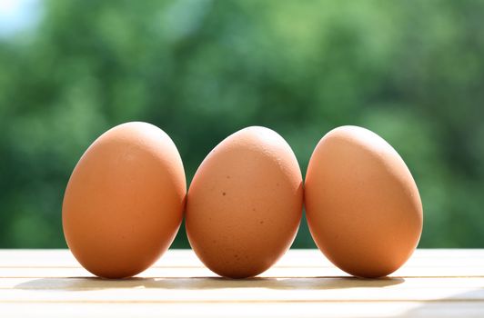 Three chicken eggs on wooden table against green nature background
