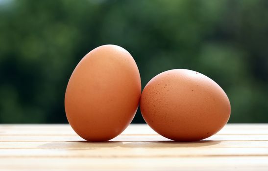 Two chicken eggs on wooden table against green nature background