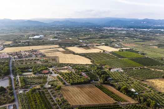 top view of crop fields near of the mountains in Tarragona, green field agriculture industry aerial view