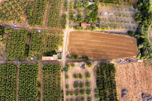 top view of different crop fields of a farm plantation, green field background agricultural industry aerial view