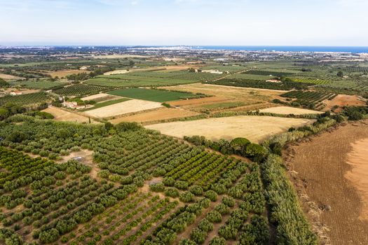 top view of farm fields near of the Mediterranean sea in Tarragona, field background agricultural industry aerial view