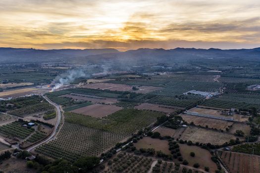 top view of fields and plantations at sunset near of the mountains in Tarragona, green field agriculture industry aerial view