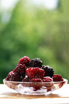 Saucer with heap of frozen blackberry fruits on wood