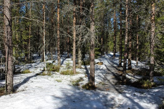 Overview Björnlandet National Park in Sweden