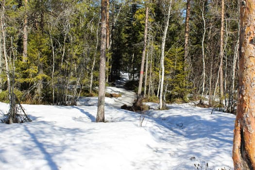 Overview Björnlandet National Park in Sweden