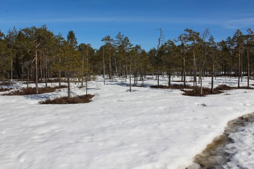 Overview Björnlandet National Park in Sweden