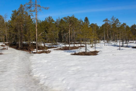 Overview Björnlandet National Park in Sweden