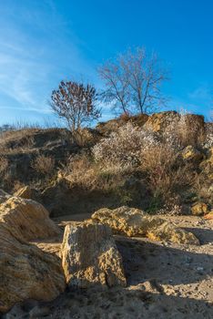 Trees and limestone on the slopes by the sea