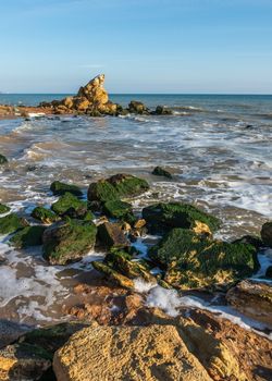 Stones covered with green algae on the Black Sea coast near the village of Fontanka, Ukraine