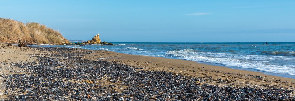 Sea coast dotted with mussel shells on the seashore near Odessa, Ukraine