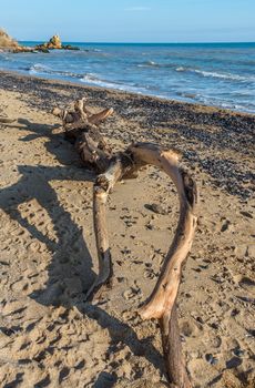 Autumn day by the sea near the village of Fontanka, Odessa region, Ukraine