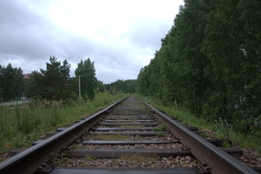 The old branch of the railway passing at the edge of the forest and along the field.