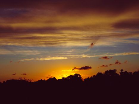 Silhouette of grass in sunset and clouds