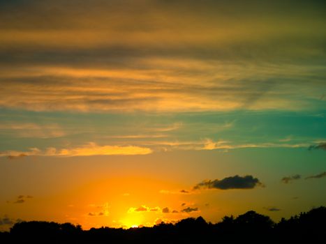 Silhouette of grass in sunset and clouds