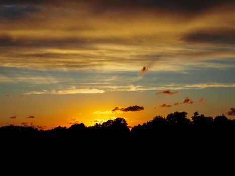 Silhouette of grass in sunset and clouds