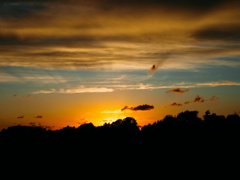 Silhouette of grass in sunset and clouds